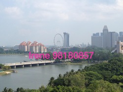 The Riverine By The Park (D12), Apartment #163189832